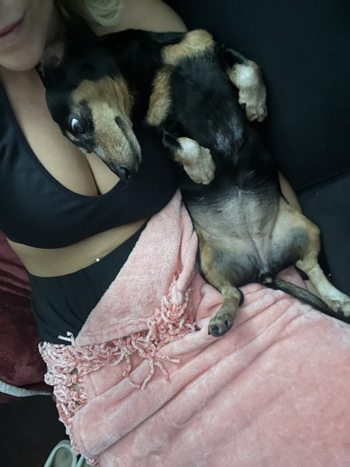 Love this little babe 💕 https://t.co/ejgSs61eSN