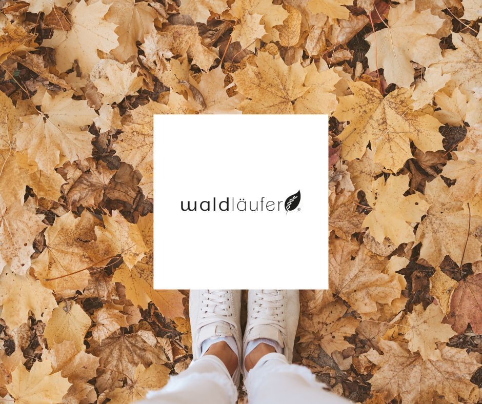 “Laufen wie auf weichem Waldboden” mit Schuhen von Waldläufer erhältst du das höchste Maß an Komfort für Deine Füße. Entdecke jetzt Schuhe von Waldläufer hier

🔍:bit.ly/3rsbdjc 

#schuhe24 #outfits24 #taschen24 #fashion #shoelover #shoesoftheday #shoeaddict