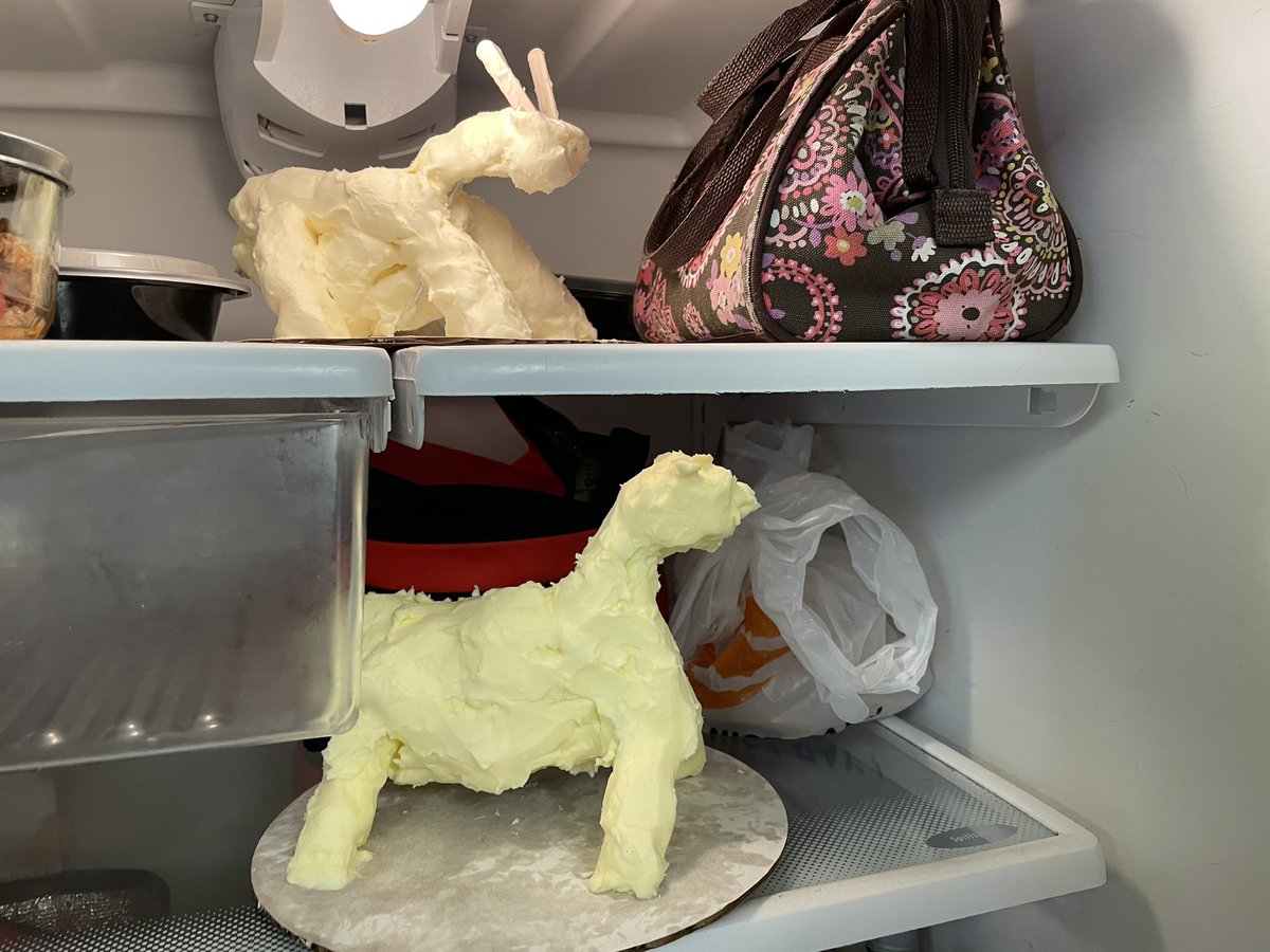 TheJOstroff's tweet photo. Went to put my lunch in the work fridge and was greeted by… these. Ah, yes. Must be county fair week. https://t.co/s8hpfA8Y8P