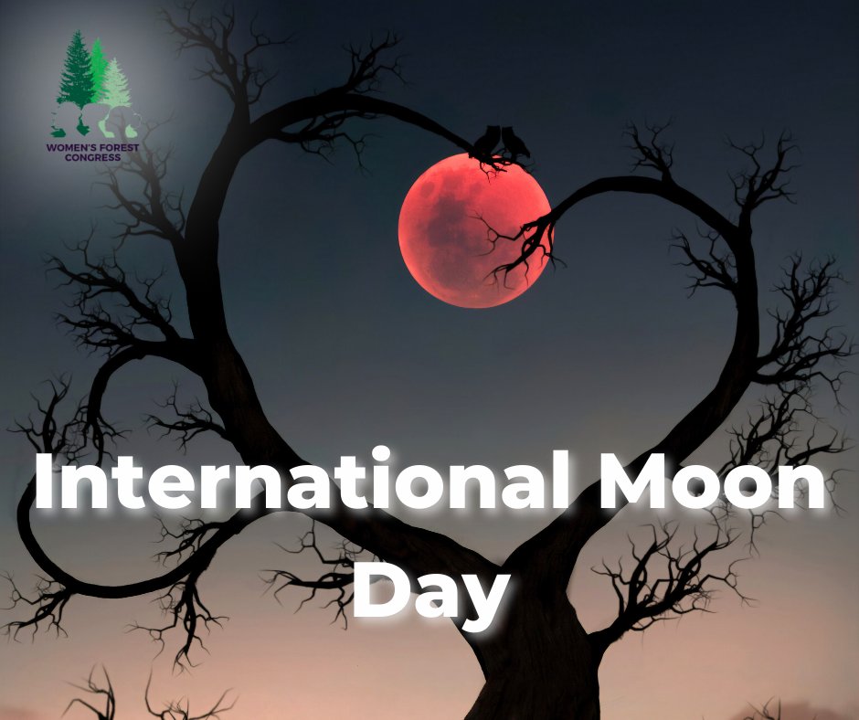 WomensForestCng's tweet photo. Today, on International Moon Day, our care for sustainability extends to our celestial neighbor. 🌕
https://t.co/p4EdbtsHHM
#InternationalMoonDay #UNObservances https://t.co/z8VC3U6jRs