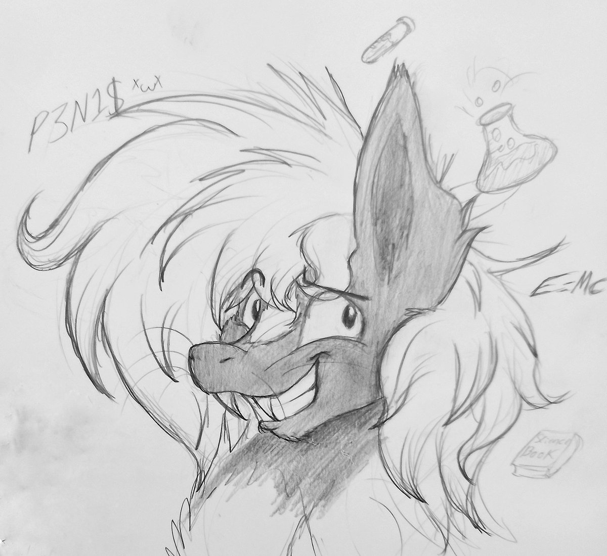 Everyone! Post a pic of yer OCs and the Songs that would be their Main Theme!