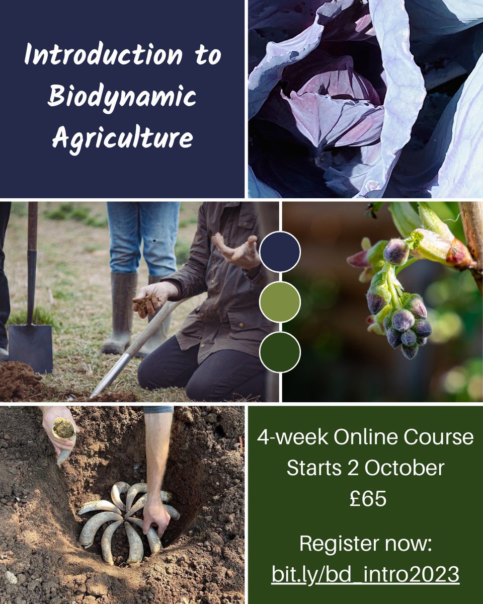 Biodynamics has a unique perspective, observing &amp; working with nature to grow food that is full of vitality while leaving the soil enriched. If this sounds like the way you'd like to garden come learn more. 4-week online course starts 2 October: bit.ly/bd_intro2023