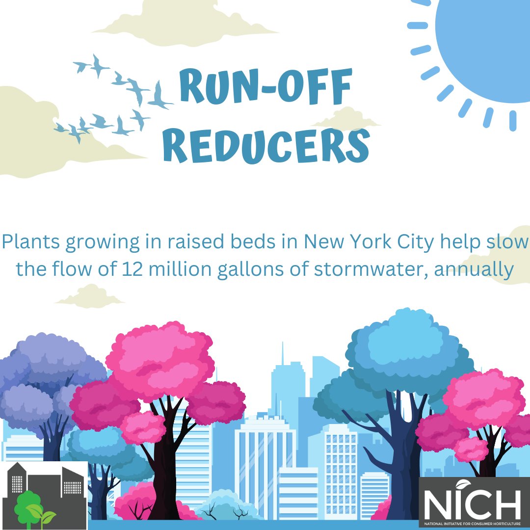 consumerhort's tweet photo. #plantsdothat
#urbantrees
#treesfightflooding
#citytrees
#consumerhort
#trees 
#runoffreducers https://t.co/0lsUKkPeWo