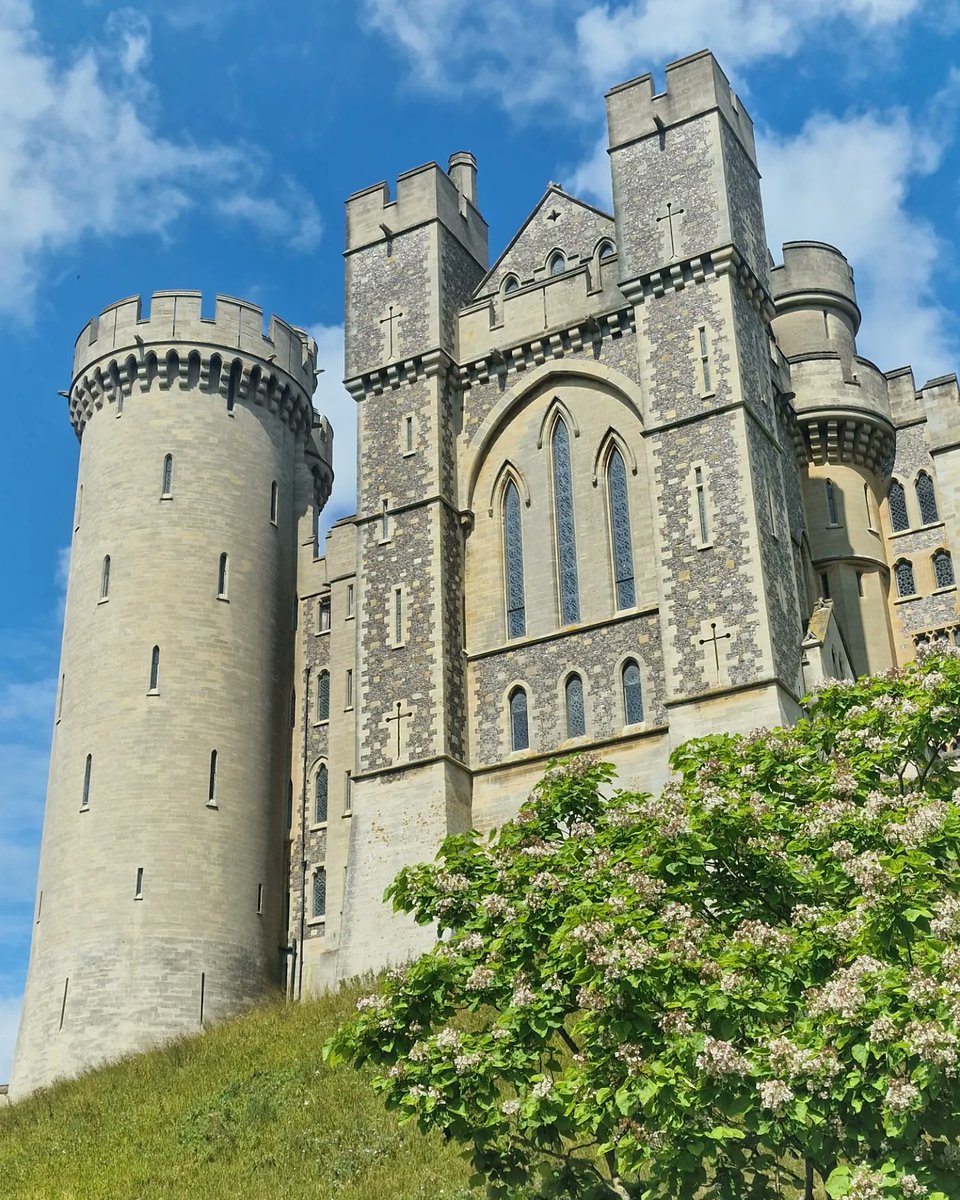 waydgaming's tweet photo. 4 pictures do not do it justice. Had the pleasure to visit #ArundelCastle this week. Definitely worth a visit if castles are your thing! https://t.co/UdWlo6JRNt