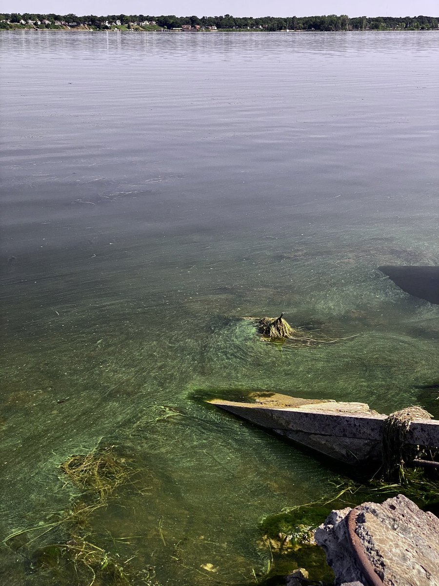 The Erie Situation - Film tweet media