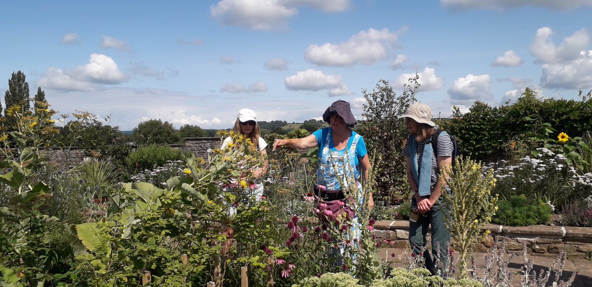 Thank you to @TheGreenJeanie for a very enjoyable & informative 'bee safari' this morning & for introducing us to @yeovalley organic garden which was alive with bees, butterflies & other invertebrates (& has a good café).