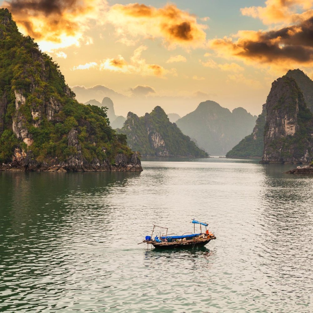 Meteodyn tweet media