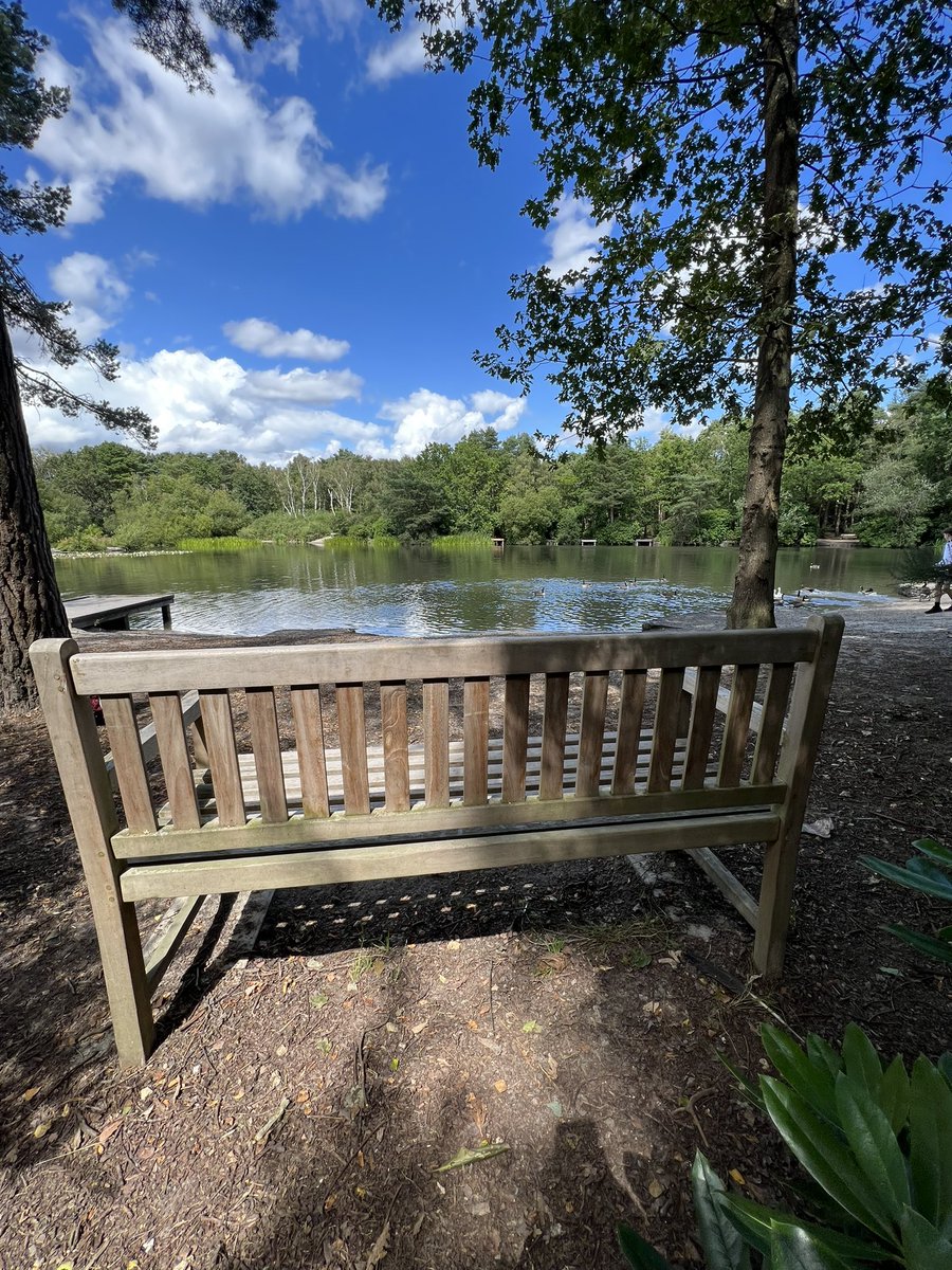 kelzabell's tweet photo. So excited to find an #AfterLife bench 🥰🥰 #hopeiseverything #MentalHealthMatters @rickygervais https://t.co/T9ebWtwqNC