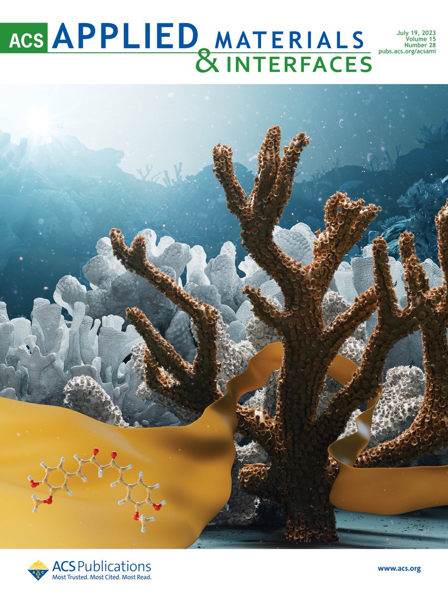 New Cover on ACS Applied Materials and Interfaces about a new strategy for saving coral reefs.
Thanks to @Ella_Maru for her fantastic work. 
@ACS4Authors #MyACSCover #coralreefs #coralbleaching #curcumin #biomaterials #biodegradable #SDG14 #lifebelowwater