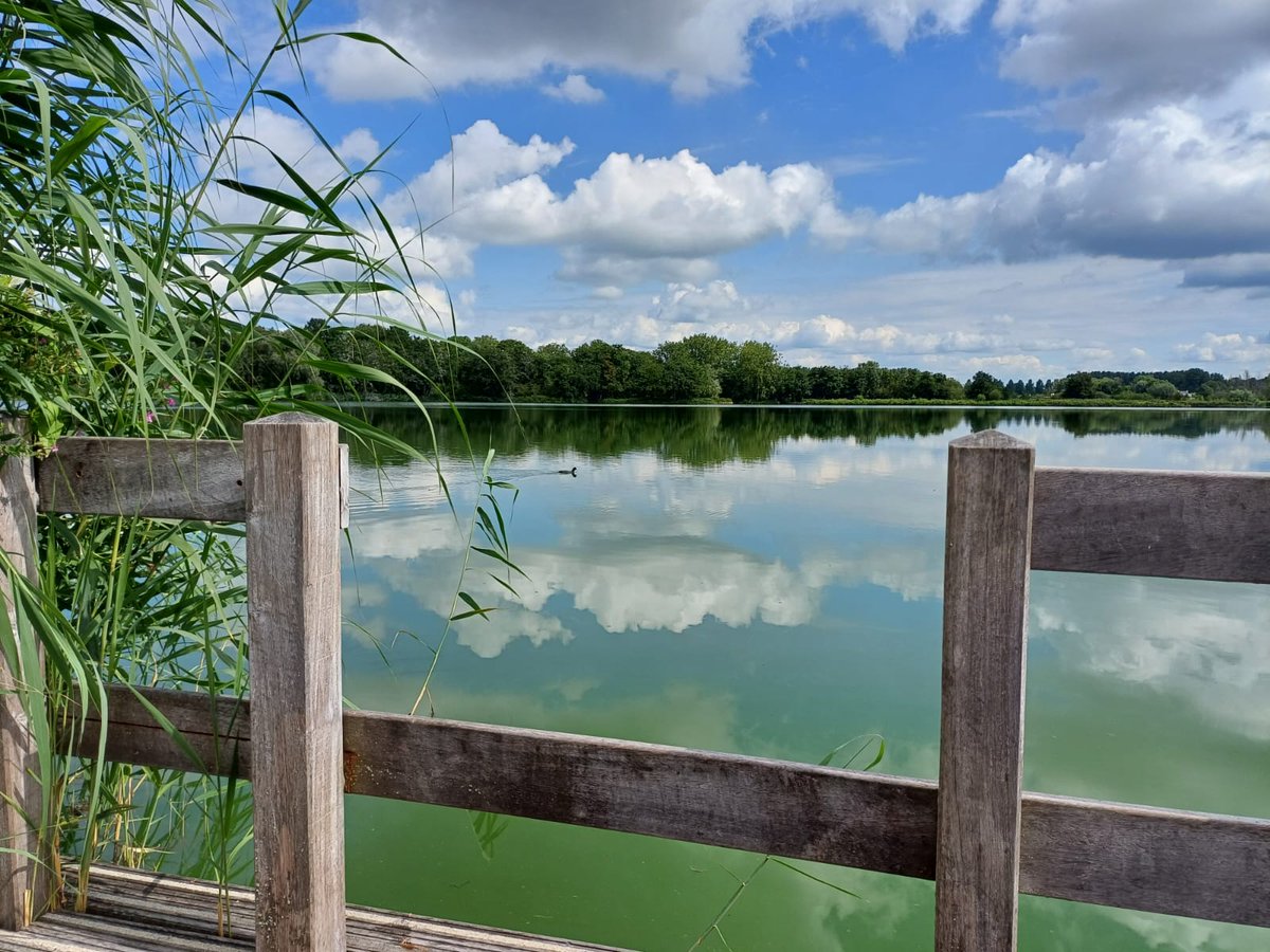 WijkAgnes's tweet photo. Wandelend door Het Groene Hart kom je op mooie plekjes. 
@GroeneHart #wandelenisleuk #uitzicht #wolken https://t.co/t5Awim4Aw9