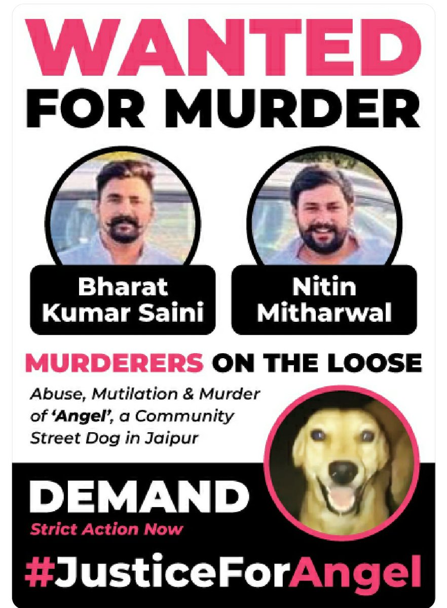 BhartiSoni39021's tweet photo. #justiceforangel https://t.co/TvjQfg01Sk