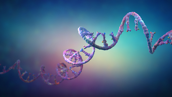 Online <a href="/Nature/">nature</a>, a splice switching #antisenseoligonucletode, atipeksen, administered intrathecally three years in a pediatric #AtaxiaTelangiectasia patient, was well tolerated with clinical improvements in disease progression. #GTInTheWorld
📸:©iStock
nature.com/articles/s4158…