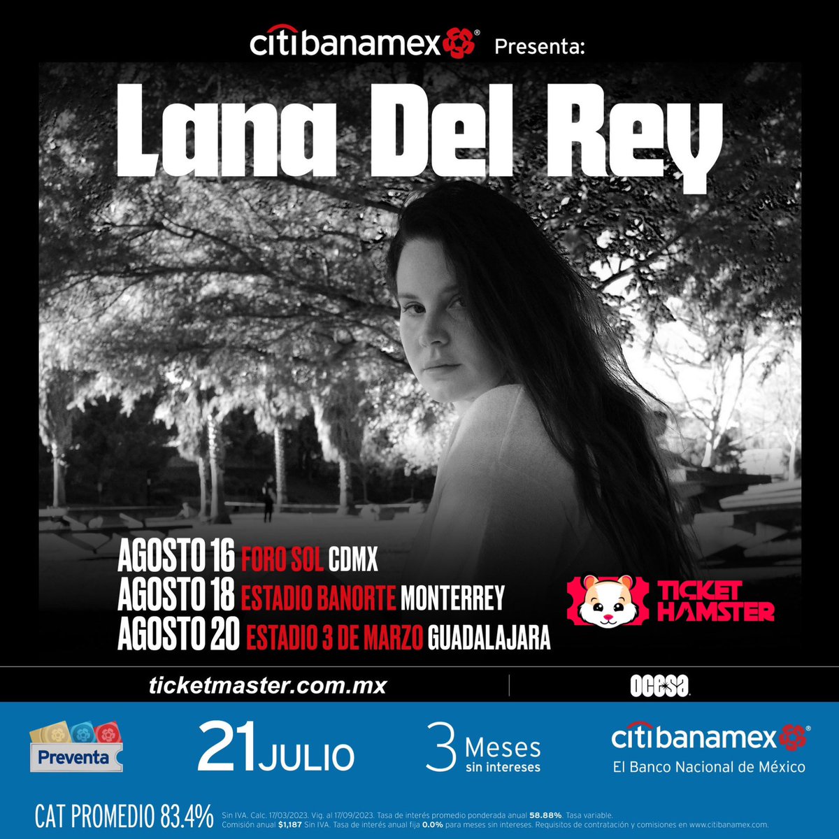 Ticket el Hámster 🐹 tweet media