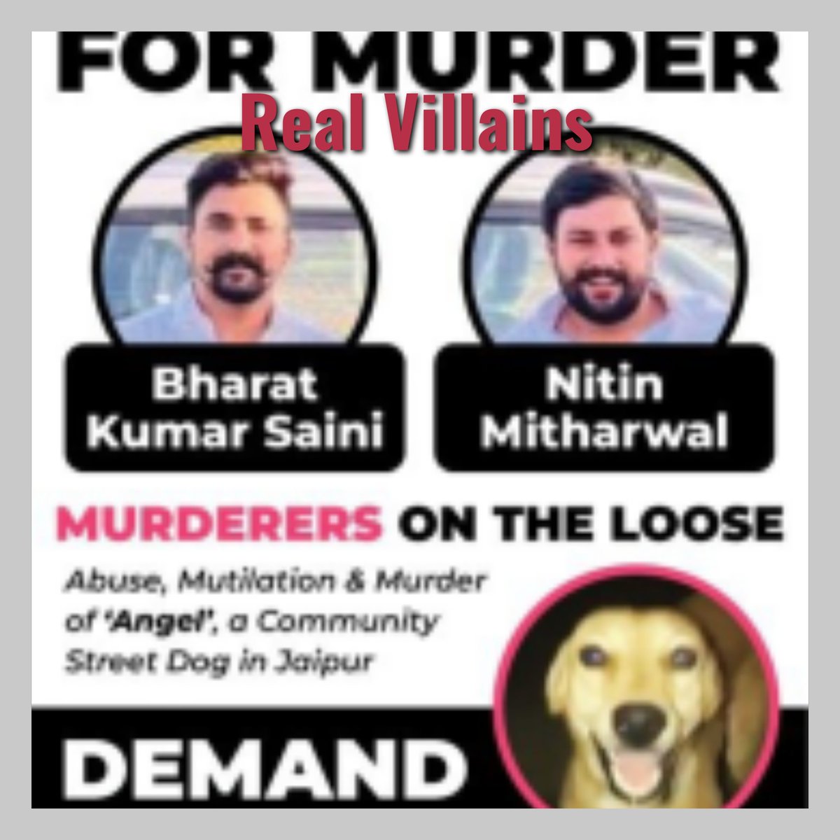 Kriticbell's tweet photo. What real villains look like. Disgrace to humanity..

@ashokgehlot51 
@RahulGandhi 
@jaipur_police 

#JusticeForAngel
#NoMore50
#shameful https://t.co/cIV4a59N5W
