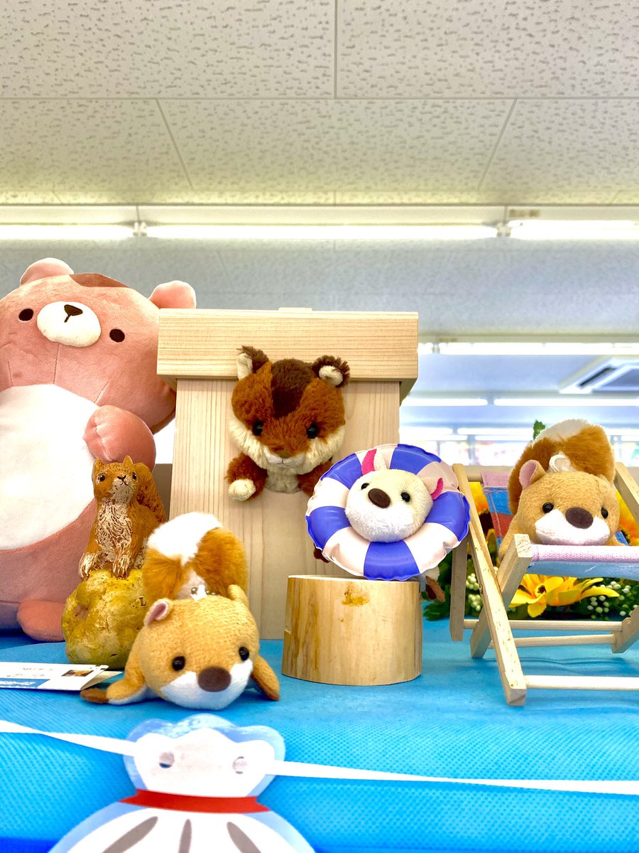 シマリスを飼っていない方の、団栗巣箱使用例🐿
インテリアとしても使えます😂
 #団栗巣箱