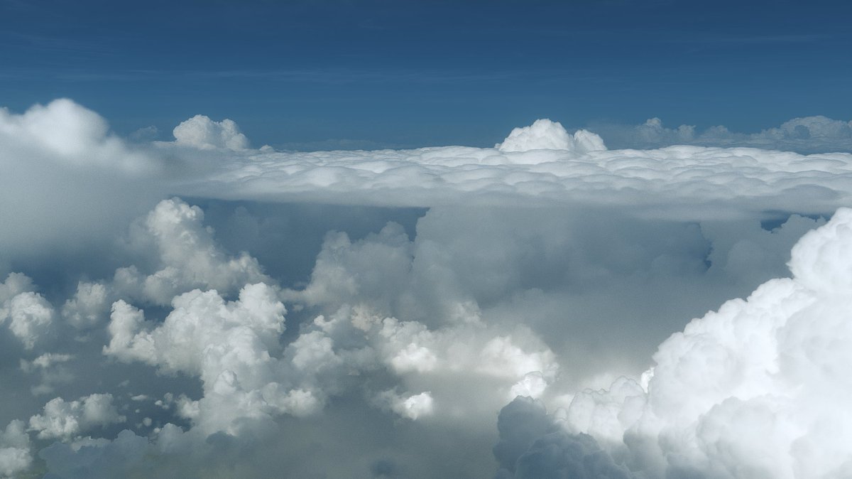 Samuel Krug tweet media