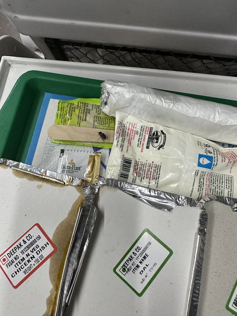 itsmesrinivas's tweet photo. @IRCTCofficial @RailMinIndia got this in vandhe bharat train . Served food some unknown insects. When asked the staff about it ridiculously they replied .. just take out that and eat remaining.. https://t.co/2YOc8mljn5
