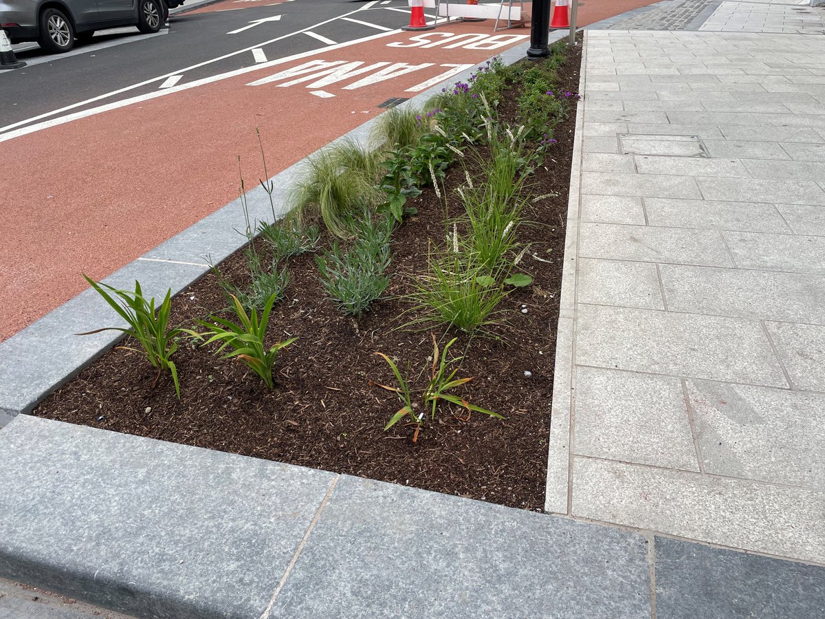 corkcitycouncil's tweet photo. 📣 July update on MacCurtain Street, Patrick's Hill &amp; surrounding street works

🌺 over 200 new plants planted with more planting and trees to follow
🪑 16 new granite benches put in place
🗑️ 4 new solar bins installed
◻️ 500sq meters of new paving installed https://t.co/EVUaZDCxFE