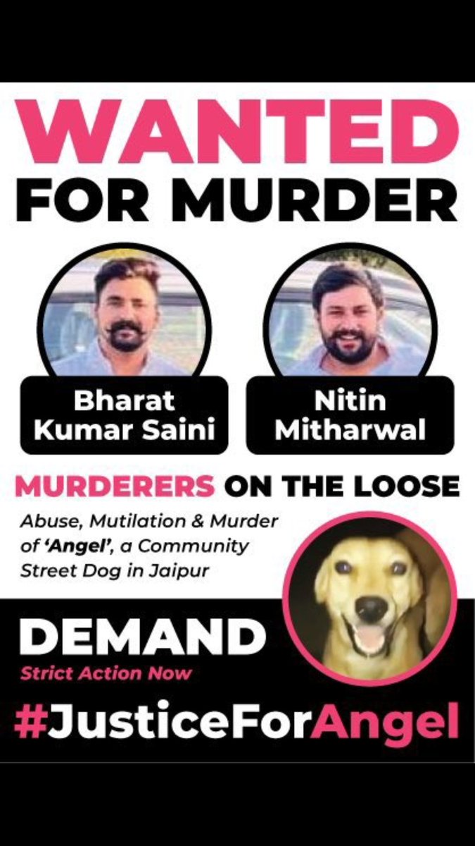 BagadiKartika's tweet photo. "The greatness of a nation and its moral progress can be judged by the way it's animals are treated"
-Mahatma Gandhi
#nomore50 
@jaipur_police 
@RahulGandhi 
@ashokgehlot51 
@rajasthanpolice 
#StopAnimalCruelty
#stopanimalabuse https://t.co/7Ao7h7RiBr