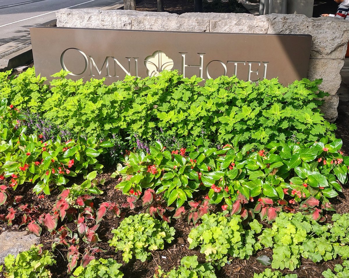 MusicCityTR's tweet photo. @BillisKing @ThePoguester @NashSportsRadio @NC5_JonBurton how about Banana Bread or buttermilk today @OmniNashville #KitchenNotes #GotBiscuits #AtTheOmni https://t.co/B7YWsljSIz