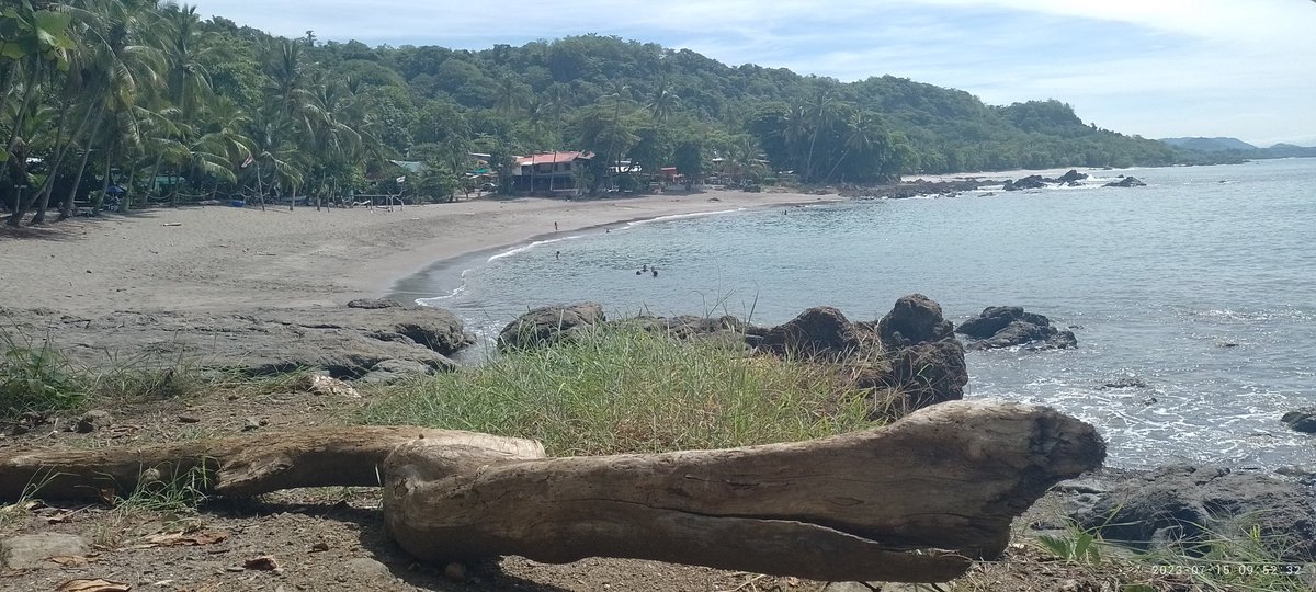 Fernand01771's tweet image. Just enjoying summer break in Costa Rica