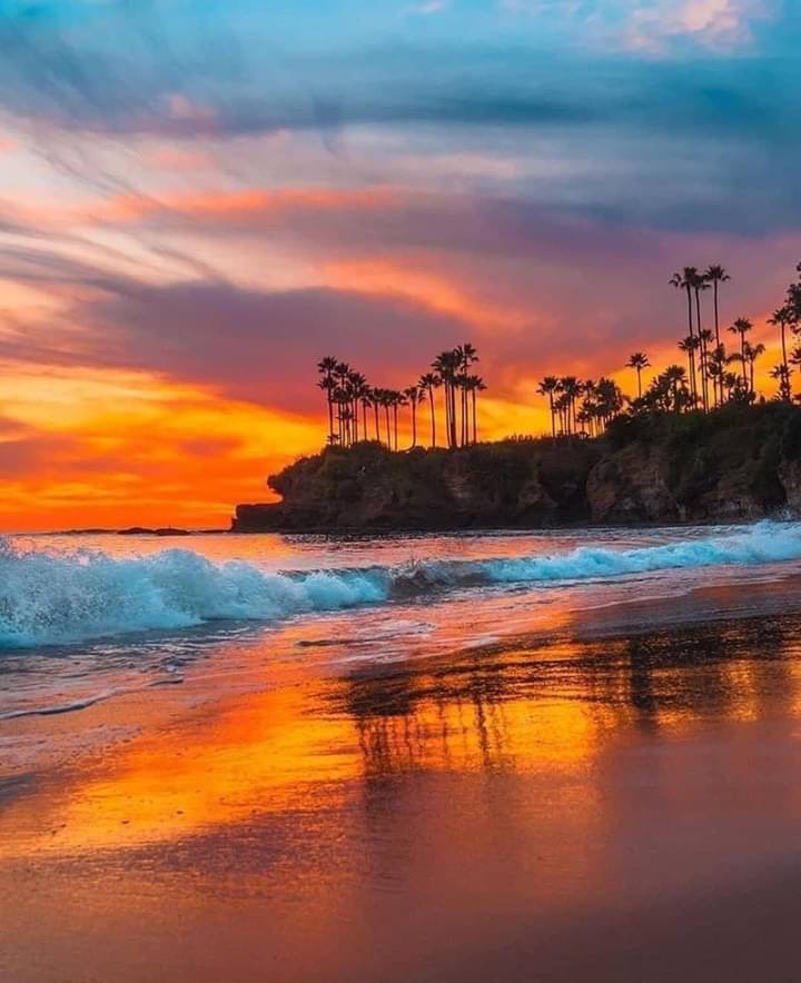 AnsarArooma's tweet photo. Wonderful evening 🌷🌼🌹💕💫 https://t.co/RJNAHimiVE