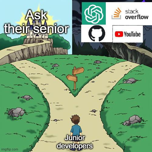 Hey junior developers! Which option do you choose??