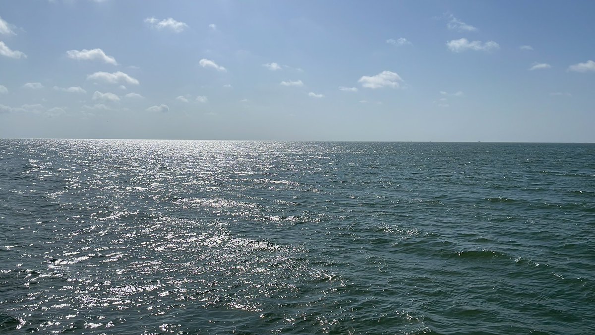 Whitecaps and Jellyfish !