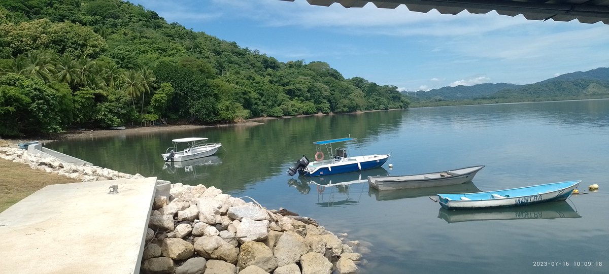 Fernand01771's tweet image. The perfect ingredients to get new energies.