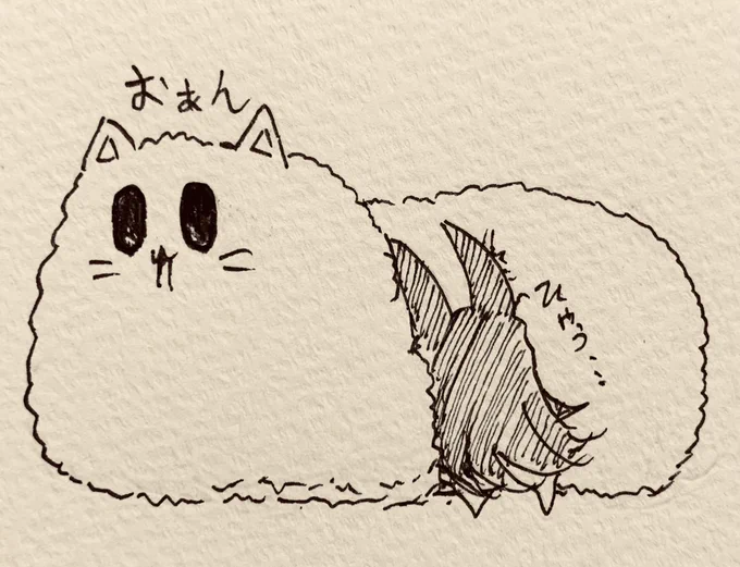 眠たくなってきた…🐈