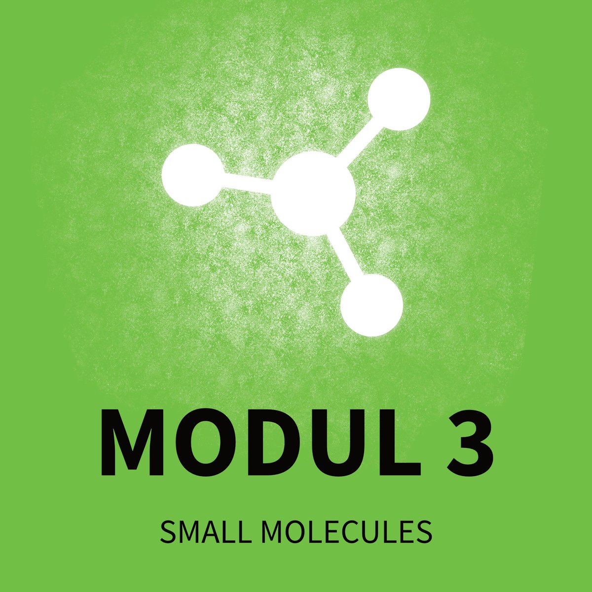 TRAIN - Translationsallianz in Niedersachsen tweet media