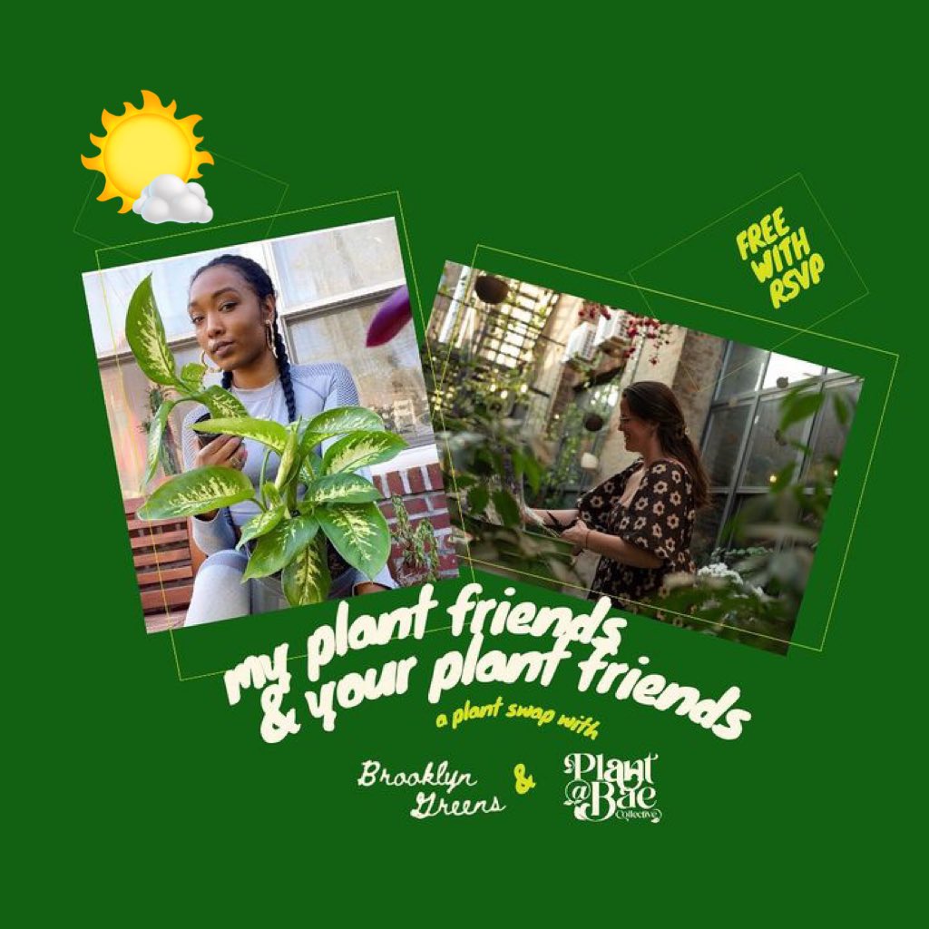 PlantBaeCo_'s tweet photo. Looking for a happy hour with plants and trivia? Meet us at Brooklyn Greens Golf at 6pm for some fun 🪴
 
📍 195 Morgan Ave, Brooklyn https://t.co/wOp9LE5dWj