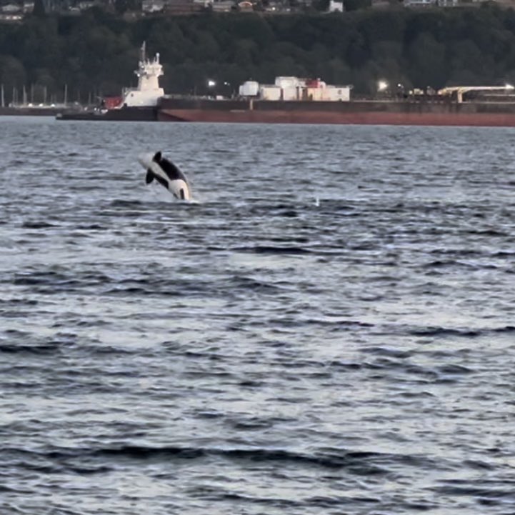 Tinna with two Ns tweet media