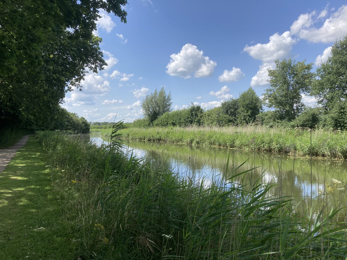 arnoldvanrhijn's tweet photo. Met het organisatiecomité voor de op 11 maart jl. gehouden succesvolle reünie van het toenmalige Heldring College in Zetten is het genieten van de ambachtelijke pannenkoeken van Pannenkoekenboerderij Aan de Linge. #evaluatielunch #Hemmen #Overbetuwe @Gem_Overbetuwe https://t.co/g9hTgowFU6