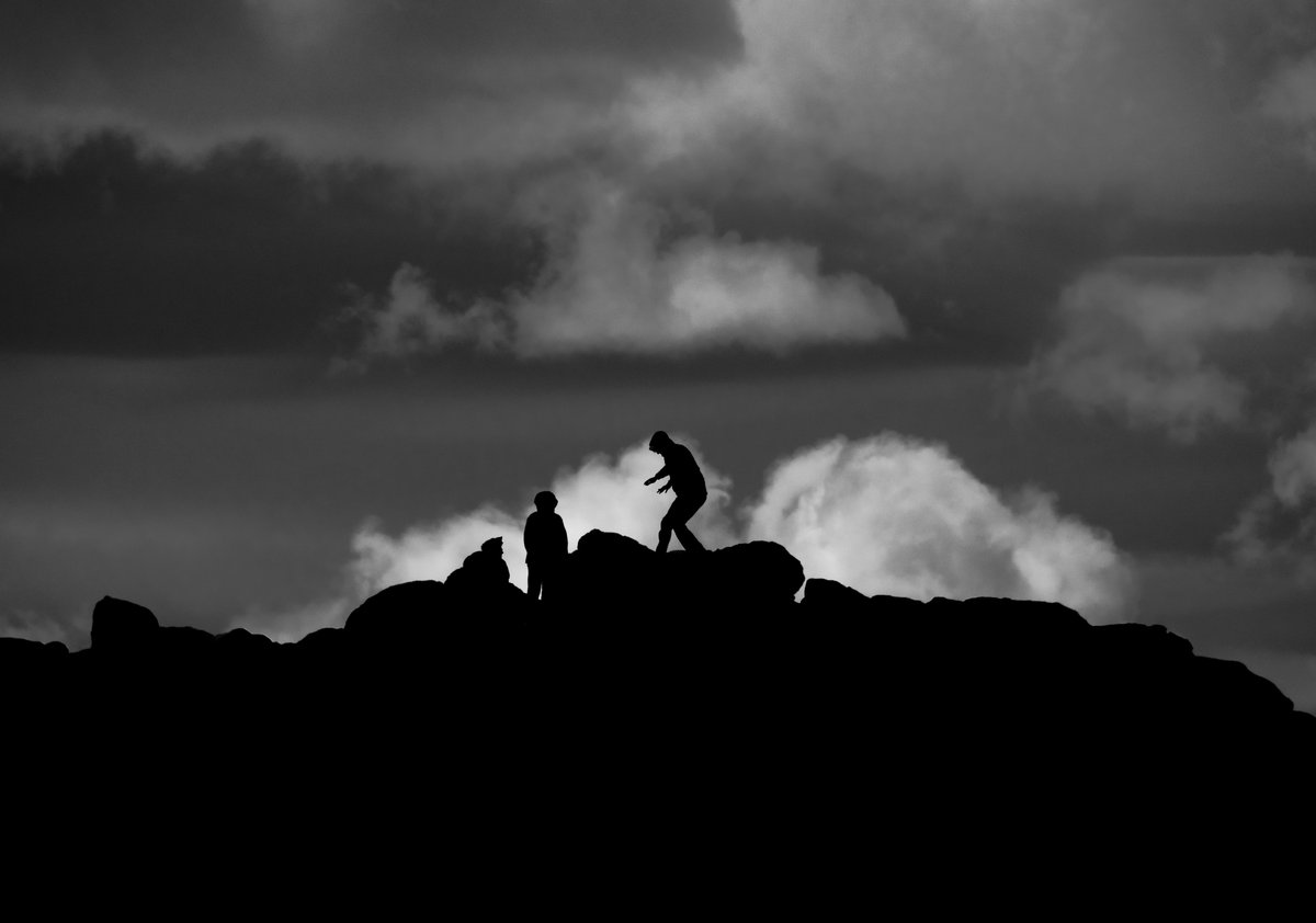 Finding Donna 🖤🤍📷 tweet media