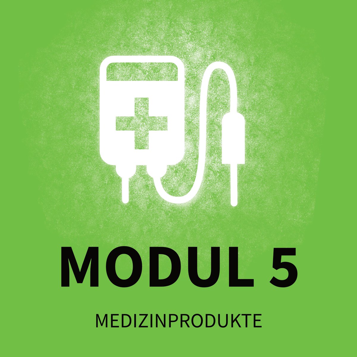 TRAIN - Translationsallianz in Niedersachsen tweet media