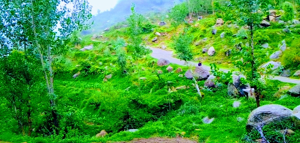 YousafzaiState's tweet photo. #tarinan_buner_khyber_pakhtoon_khawa https://t.co/6iUc7zuRg1