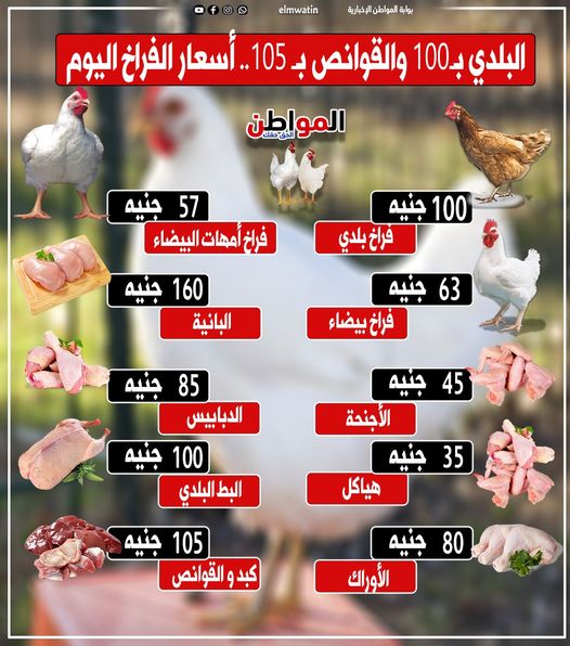 elmwatin's tweet photo. البلدي بـ 100 و الكبد و القوانص بـ105 .. أسعار الفراخ اليوم
#المواطن https://t.co/SY88s9CwmR