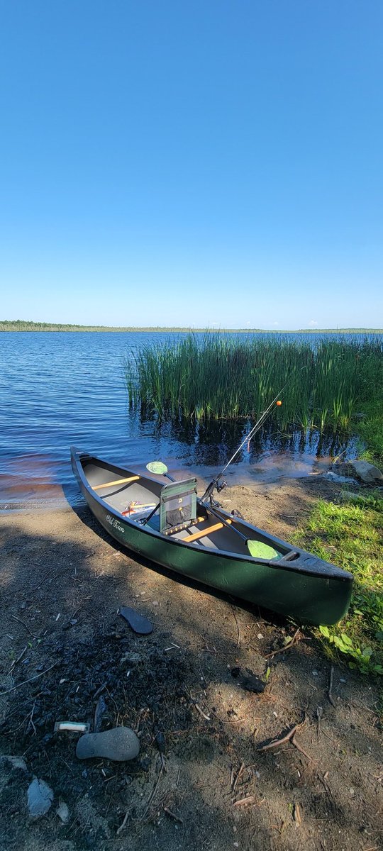 GSn04401's tweet photo. Here's a fun #adventureday hint! #getoutside #perchpond #mainethings https://t.co/oThQkRb6NE