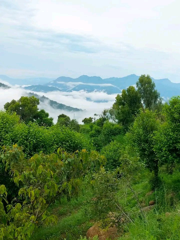 YousafzaiState's tweet photo. Tarinan Buner https://t.co/QsMK6nB40v