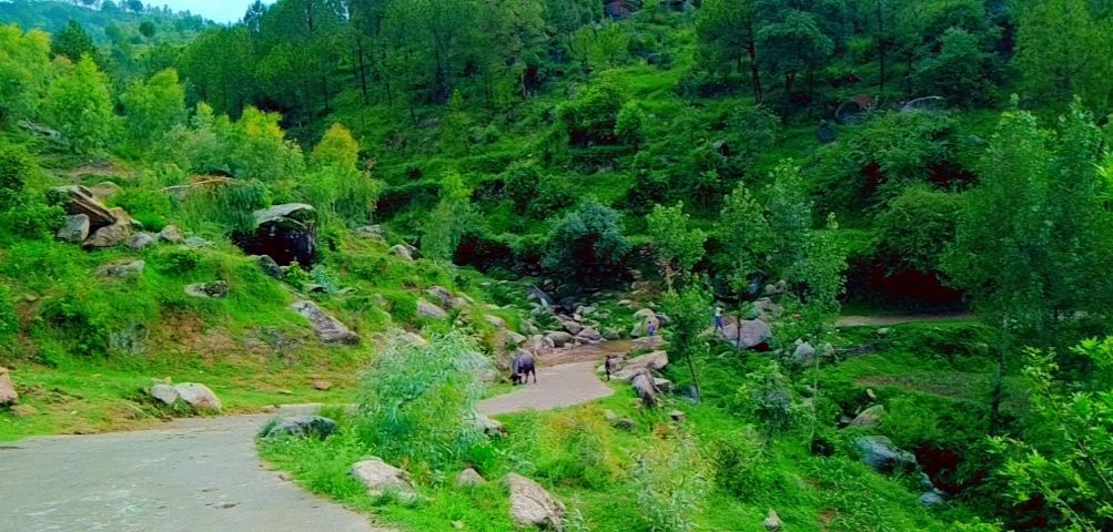 YousafzaiState's tweet photo. #tarinan_buner https://t.co/OVncYnlFPn