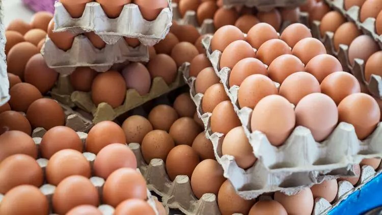 Tayvan hükümeti, Temmuz ayının başında Türkiye'den ithal edilen 127 ton yumurtada kanserojen madde tespit edip Türkiye'den yumurta ithalatını durdurdu.

(Sözcü)
