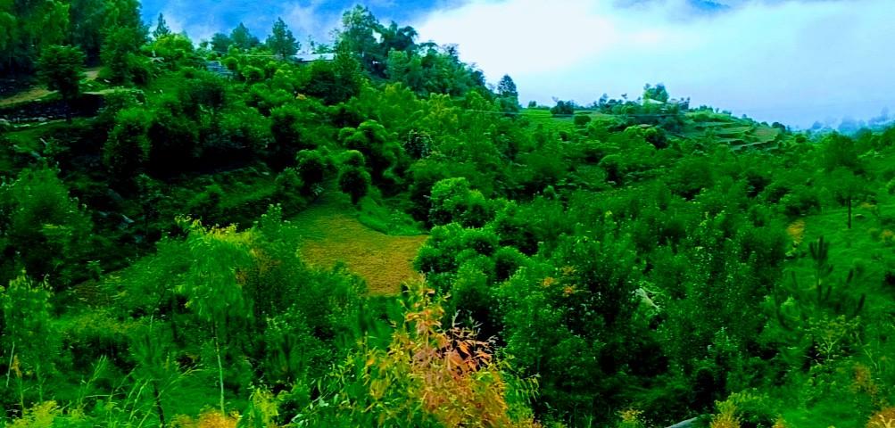 YousafzaiState's tweet photo. #tarinan_buner_khyber_pakhtoon_khawa https://t.co/6iUc7zuRg1