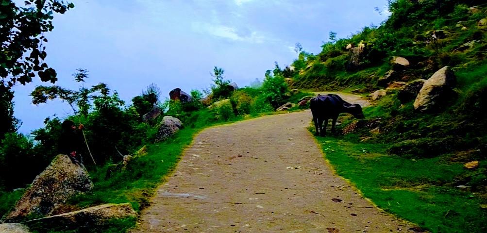 YousafzaiState's tweet photo. #tarinan_buner_khyber_pakhtoon_khawa https://t.co/tlXA514Edu