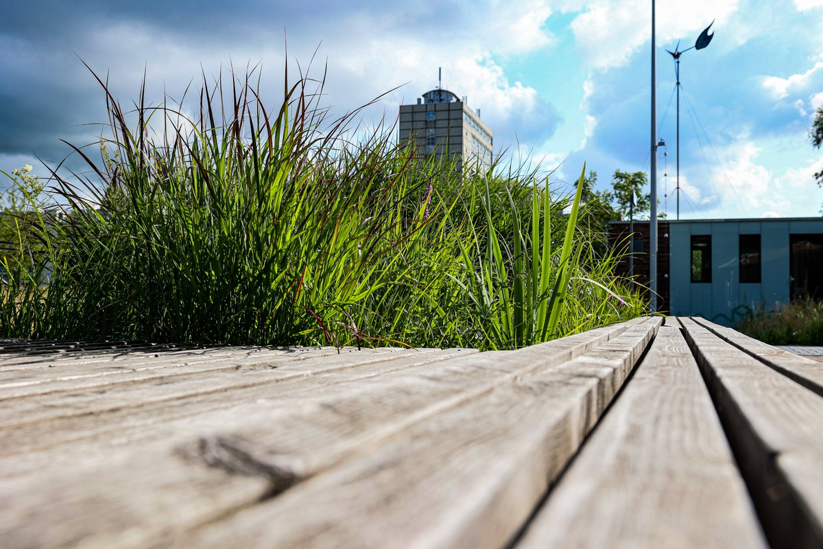 TheGrnVillage's tweet photo. 💪Van @TheGrnVillage naar pilotlocaties in @gemeenteaadr &amp; Madrid! #FieldFactors kan dankzij subsidie met #Bluebloqs deze steden #klimaatadaptief maken door #regenwater te zuiveren &amp; op te slaan. Wij zijn benieuwd naar hun volgende stappen! #hinkstapsprong https://t.co/wKSY5xMmJu https://t.co/T7W2mIf9xp