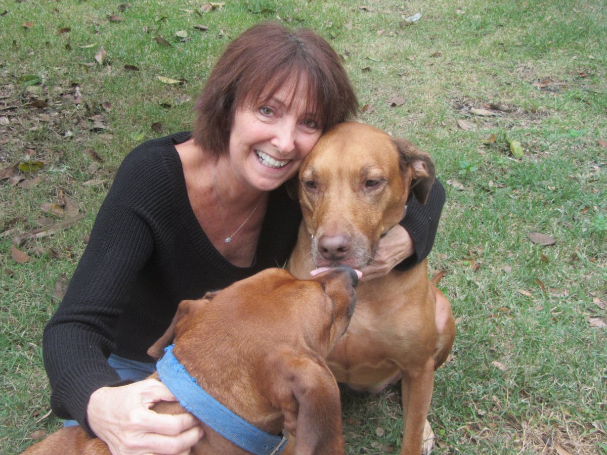 SPECIAL REPORT: The Fulmers were plagued by cancer, which claimed their dogs, Zipporah and Ariel. Then, they learned their water well was tainted by 1,4-dioxane, a likely carcinogen. 

“It all began making sense"

Read Part 4 of our Toxic Secret series: orlandosentinel.com/2023/07/20/dio…