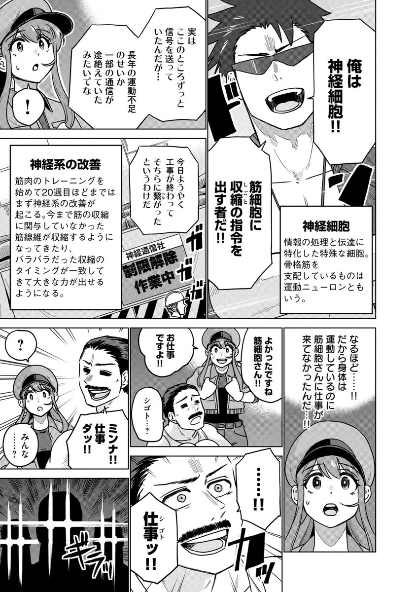 (3/11) 