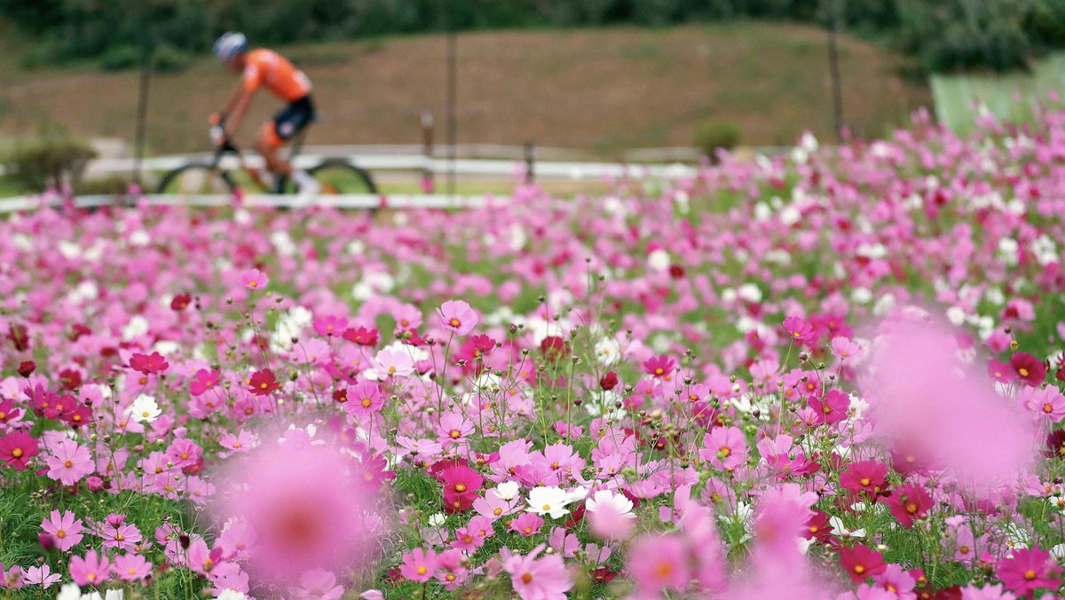 The #IOCClimateActionAwards shortlist is out today!
Athletes, IFs &amp; NOCs are competing for 7 awards supported by Worldwide Olympic Partners @airbnb @deloitte &amp; @proctergamble in sustainable travel, innovation &amp; athlete advocacy.

Follow the🧵for more ⬇️