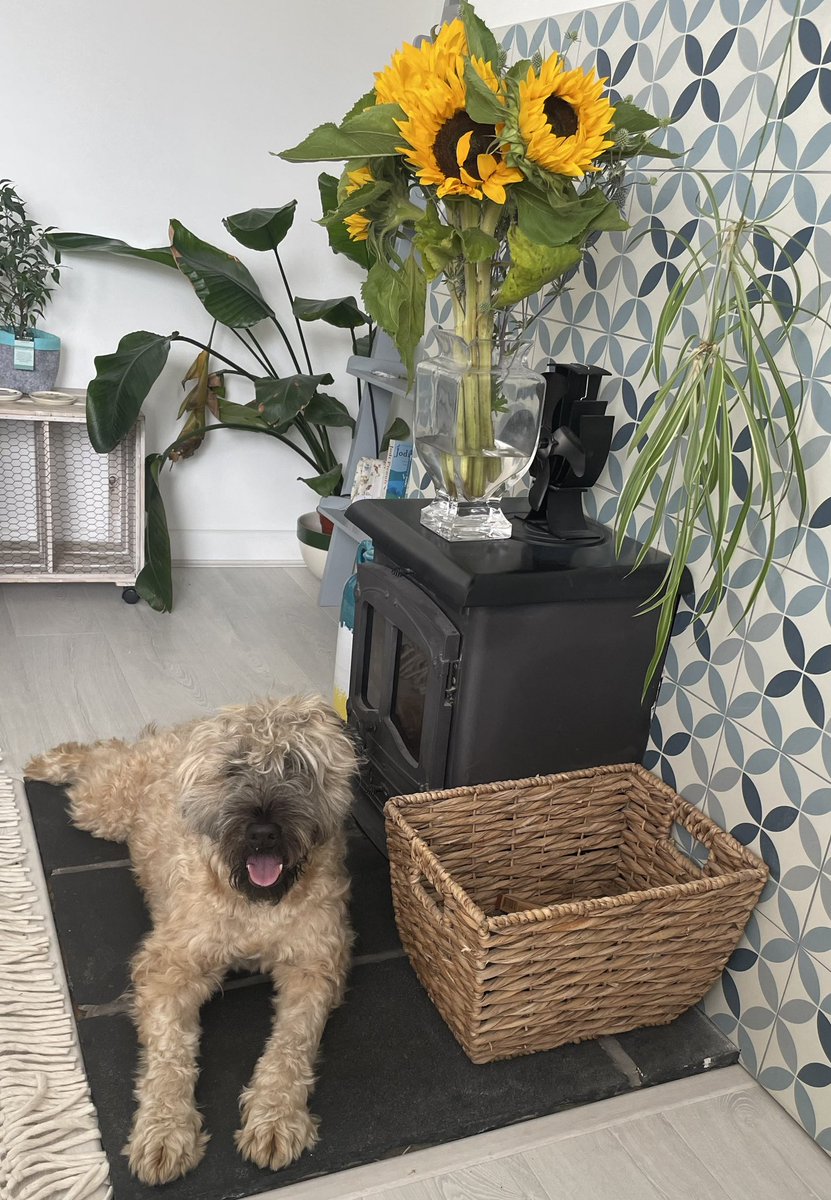 Resting at Auntie Patch’s house