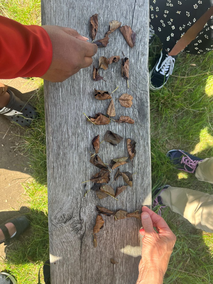 CLCHSchoolNurse's tweet photo. Wandsworth school nursing team enjoyed their end of academic year picnic and away day after a busy year!

Did you know some of our team continue to work during the summer holidays are are available for advice and continued support
https://t.co/PnIOIJ9lsK

@CLCHNHSTrust @CLCH_QI https://t.co/fvP6oaJxpM